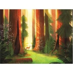 PARKS BOARD GAME -Oofos shop keymaster games parks board game 8