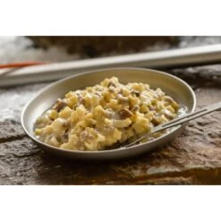 Mountain House Beef Stroganoff Adventure Meal -Oofos shop mountain house beef stroganoff adventure meal lifestyle 1