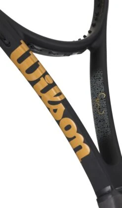 Wilson Blade SW102 Autograph (endorsed By Serena Williams) -Oofos shop rs 2021 04 21T230230.675
